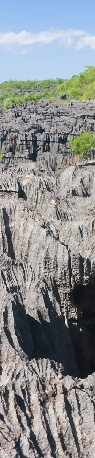 Bewundere die einzigartige Kalksteinlandschaft der Tsingys d’Ankarana